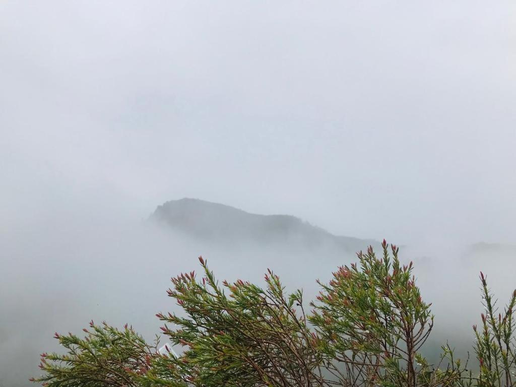 Ella Nature Rock Bagian luar foto